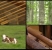 640x360_C_2_video_463536_videoThumbnail